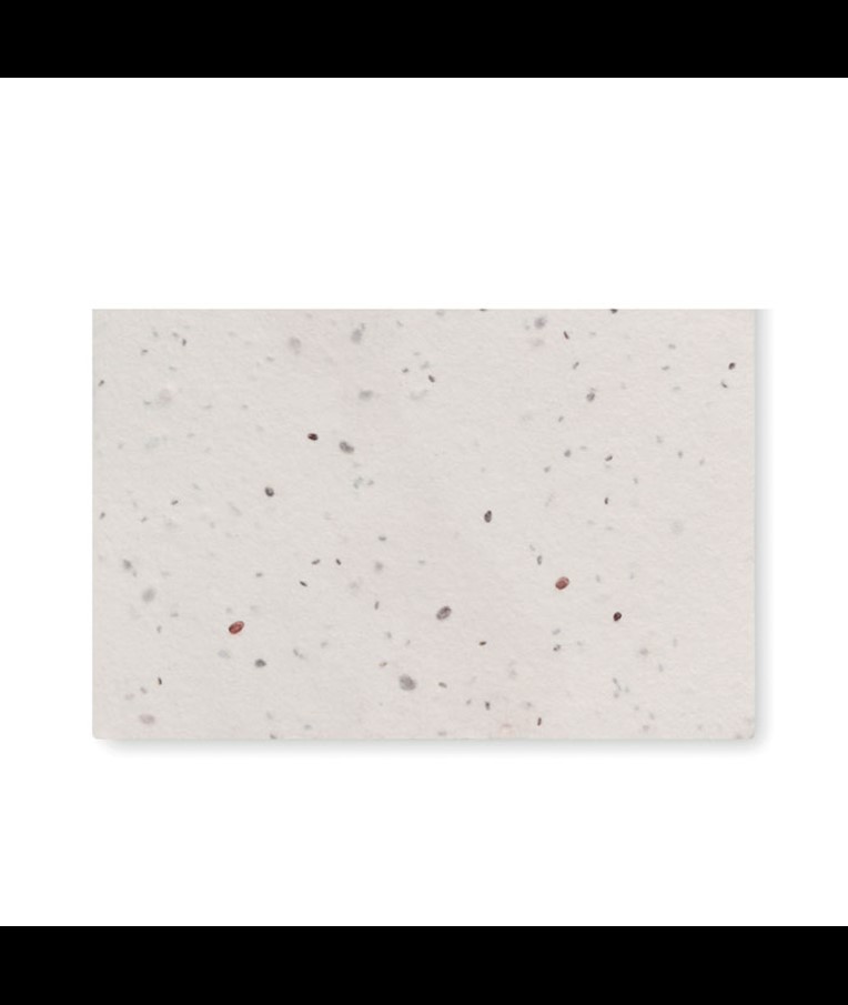 VIZITKA S SEMENI DIVJIH ROŽ ASIDA