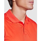 POLO SHIRT ROLY TORMO