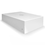 LESENO BOŽIČNO DREVO PUINEN