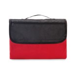 PIKNIK ODEJA COSTA IZ POLARNEGA FLISA