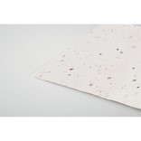 ASIDA - WILDFLOWER SEED BUSINESS CARD