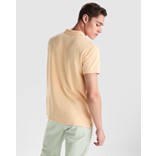 POLO SHIRT ROLY COBAIN